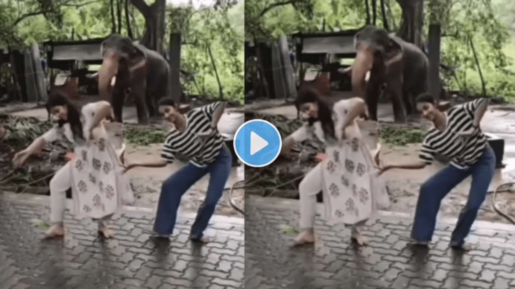 Is this elephant dancing with Bharatanatyam dancers