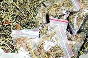 ganja stash seized from deported woman