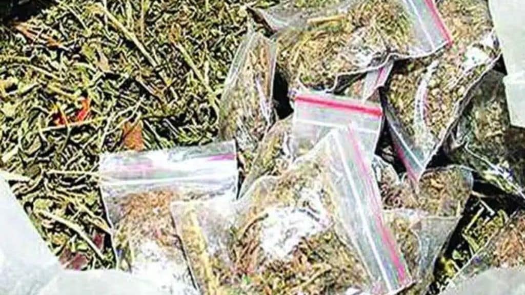 ganja stash seized from deported woman