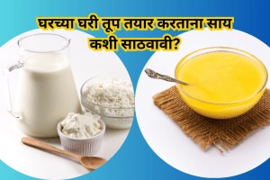 How to store cream to make ghee at home