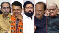 Maharashtra Assembly Elections Exit Poll 2024 : १० पैकी ६ एक्झिट पोल महायुतीच्या बाजूने, काय आहे अंदाज?