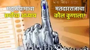 Maharashtra Assembly Election 2024 Voting Live Updates in Marathi