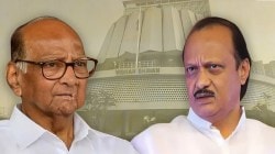 Sharad Pawar vs Ajit Pawar NCP Seats: शरद पवार विरुद्ध अजित पवार: कोणत्या राष्ट्रवादीची झाली सरशी? तुतारी वाजली की घड्याळाने वेळ साधली…