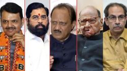 Maharashtra Assembly Election partywise strike rate: विधानसभेत कोणत्या पक्षाचा ‘स्ट्राइक रेट’ सरस; लोकसभेला सर्वाधिक स्ट्राइक रेट असलेला पक्ष यावेळी तळाला