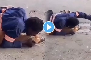 Young boy bite dog video viral on social media shocking and funny video