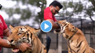 Pakistani creator sparks outrage by placing hand in chained tiger's mouth; shocking video