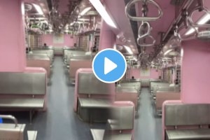 Mumbai: Video Of AC Local Train's Ladies Dabba Goes Viral; Netizens Call Pink Coach 'Prettiest'