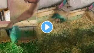 Unhygienic frozen matar shocking video 'Yuck! That Green Chemical': Netizens React To Viral Video Showing Man Adding Colour To Peas