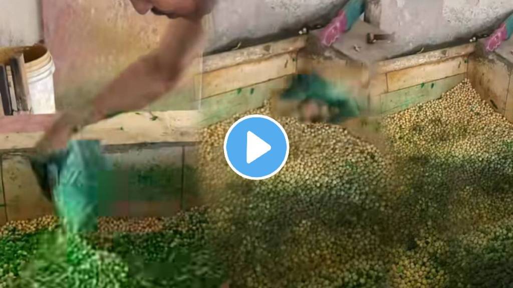 Unhygienic frozen matar shocking video 'Yuck! That Green Chemical': Netizens React To Viral Video Showing Man Adding Colour To Peas