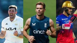 IPL 2025 Mega Auction Oldest Players List James Anderson R Ashwin David Warner