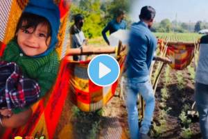 Father love video of little boy goes viral which was sleeping in zoka at farm video goes viral