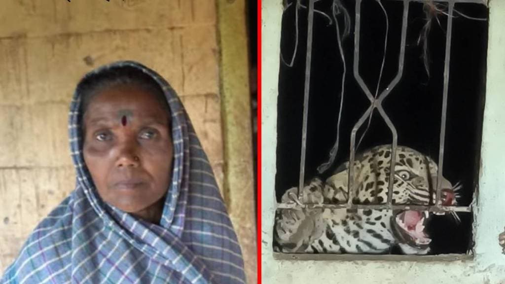 leopard trapped Surgana Taluka Avalpada,