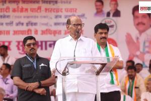 maharashtra vidhan sabha election 2024, rashtrawadi congress sharad pawar,