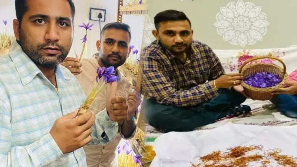 Two brothers from the village farmed saffron together Earn lakhs of rupees