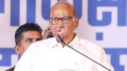 Sharad Pawar : “राष्ट्रवादी पक्ष फोडणाऱ्यांमध्ये तीन लोक प्रामुख्याने होते”, शरद पवारांचा रोख कुणाकडे? चर्चांना उधाण