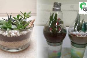 soil making for plants in glass pot