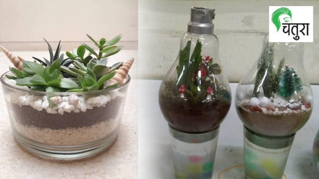 soil making for plants in glass pot