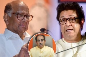 raj thackeray criticized sharad pawar