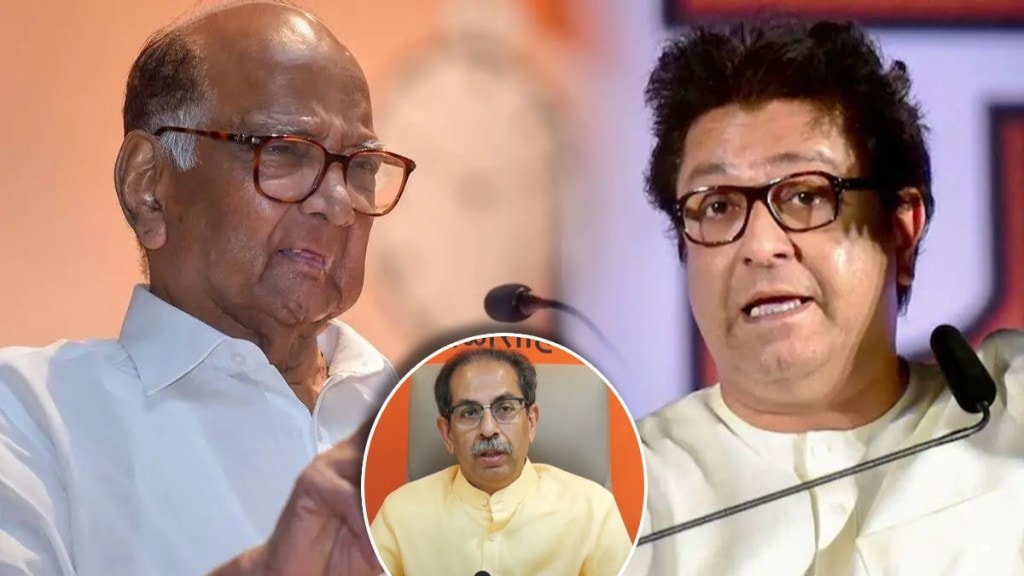 raj thackeray criticized sharad pawar