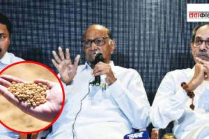 Soybean Price, Vidarbha, Ladki Bahin Yojana,