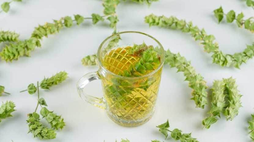 Dandelion Tea Really Beneficial for Back Pain 