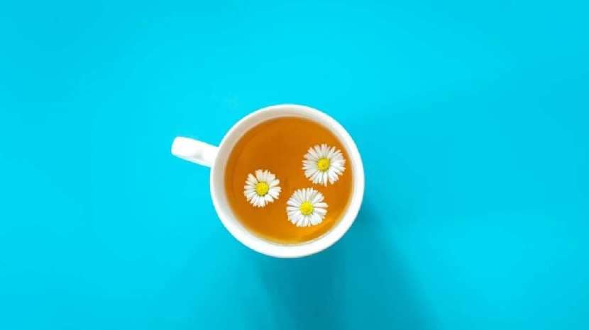 Dandelion Tea Really Beneficial for Back Pain 