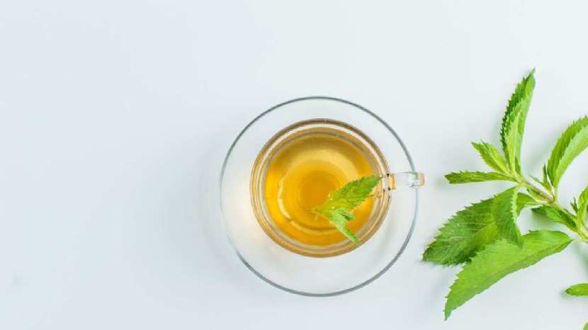 Dandelion Tea Really Beneficial for Back Pain 