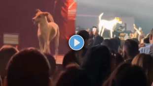 dog took to the stage at the music concert