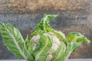 how to remove worm form cabbage