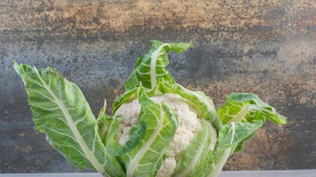 how to remove worm form cabbage