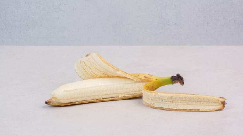 his simple remedy of banana peel will kill mosquitoes 