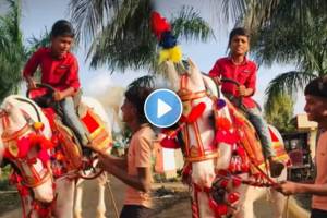 A boy sitting on a horse funny video