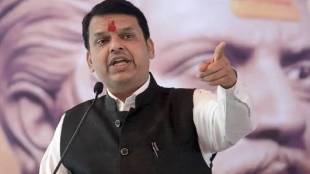 Devendra Fadnavis On Maharashtra Vidhan Sabha Election 2024