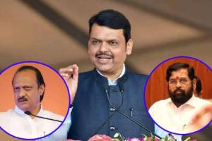 Maharashtra Vidhan Sabha Election Result 2024 Mahayuti Politics