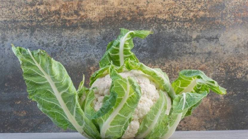 how to remove insects from cabbage