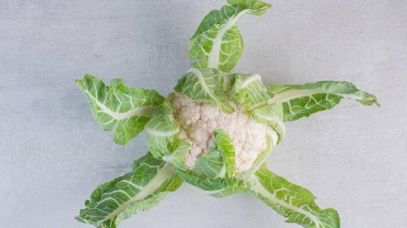 how to remove insects from cabbage