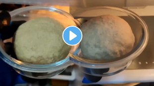 Shocking video If you eat roti made dough keeping fridge can make you sick