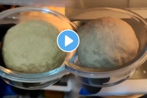 Shocking video If you eat roti made dough keeping fridge can make you sick