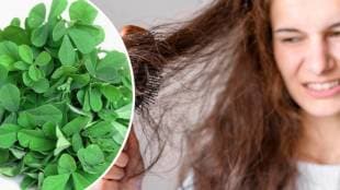 Losing More Hair Than Usual? This Iron-Rich Methi Pulao Might Help You hair loss home remedies