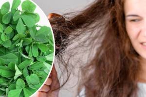 Losing More Hair Than Usual? This Iron-Rich Methi Pulao Might Help You hair loss home remedies