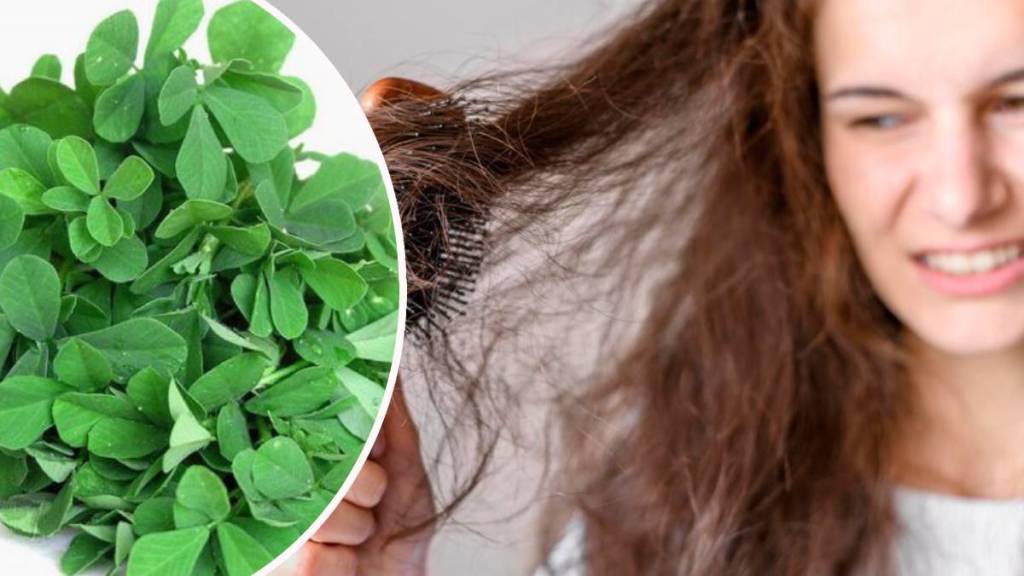 Losing More Hair Than Usual? This Iron-Rich Methi Pulao Might Help You hair loss home remedies