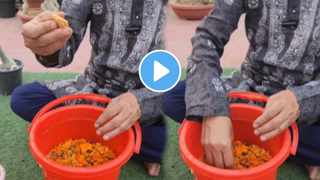 Diwali 2024 reuse flowers and diya trending jugad video goes viral