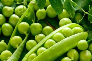 Green peas are flooding in markets prices which soared to drop by half