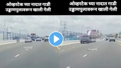 अंगावर काटा आणणारा अपघात, पुलावरून कार थेट खाली कोसळली; VIDEO पाहून सांगा नेमकी चूक कुणाची?