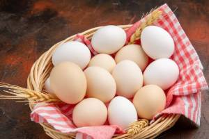 Study Says Eating An Egg A Day May Improve Women's Brain And Memory Function how many egg should be eaten in one day