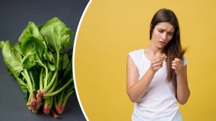 Spinach or Palak benefits in hair growth and prevent hairfall Why Spinach Is The Secret To Healthier, Fuller Hair