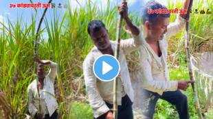 Sugarcane Farming information happy farmer video viral on social media