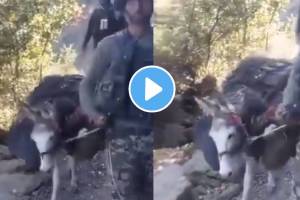 Pakistan Army carries its dead soldiers on donkeys in Tirah valley of Paktunkhwa shocking video