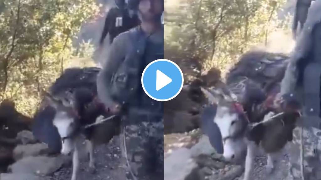 Pakistan Army carries its dead soldiers on donkeys in Tirah valley of Paktunkhwa shocking video