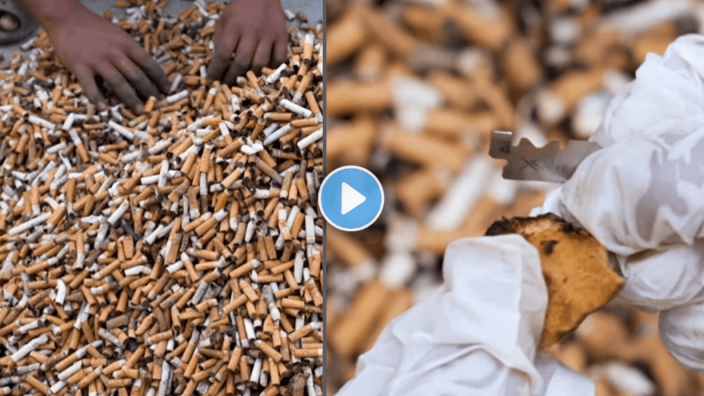 Cigarette butts get plush makeover Noida man turns waste into teddy bears WatchViral Video